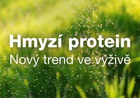 Hmyzí protein