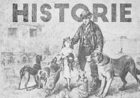 Historie výroby granulí pro domácí mazlíčky