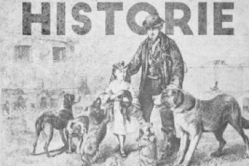 History of dry pet food
