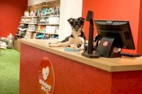 Spokojený Pes - Korunní