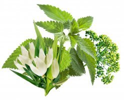 Eminent  - Herbal complex