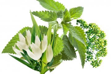 Eminent  - Herbal complex