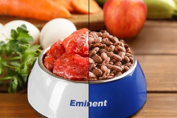 Eminent Gluten Free for dogs and cats