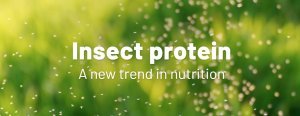Pet food with INSECT