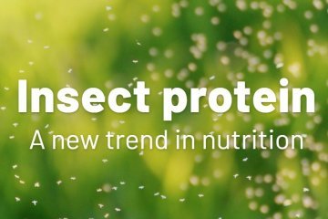 Pet food with INSECT