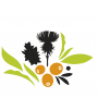 Herbal Complex