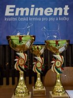 Výstavy psů a koček