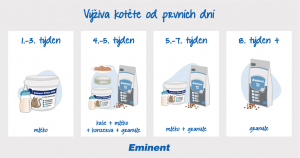 Výživa koťat