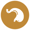 icon_Fiber-Balance_diet_sm.png