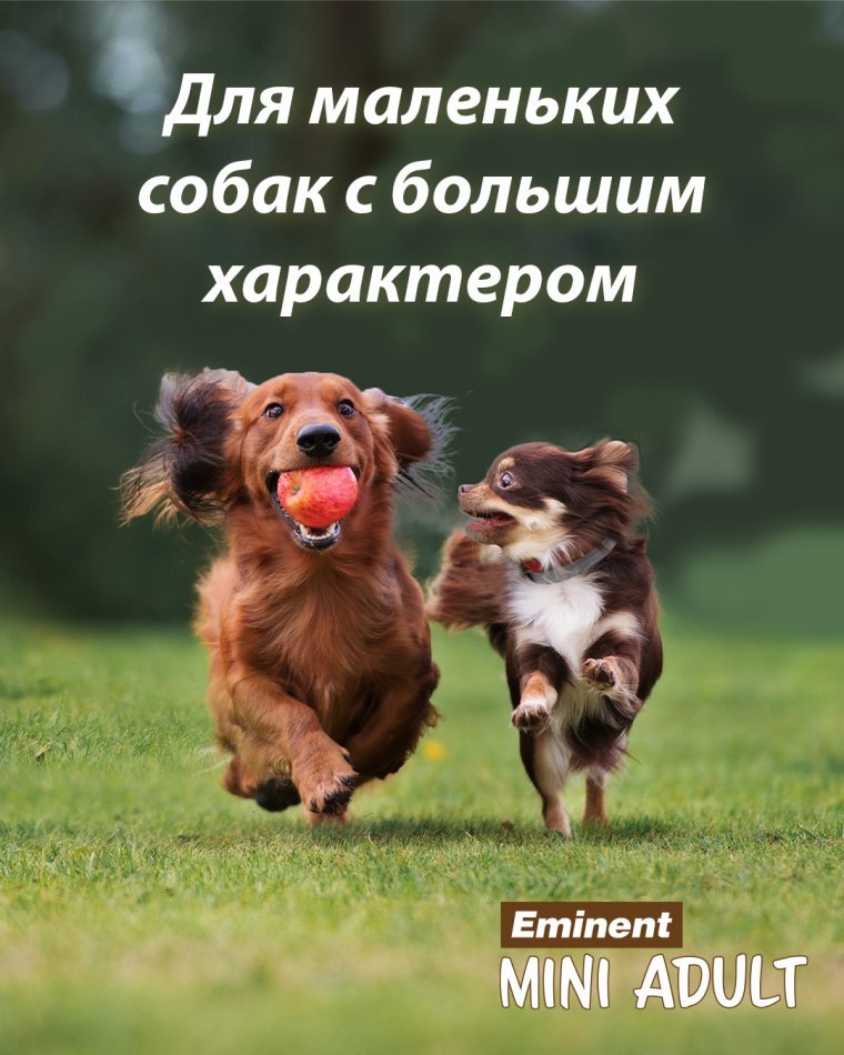 220606_Eminent_mini_IG_RU.jpg